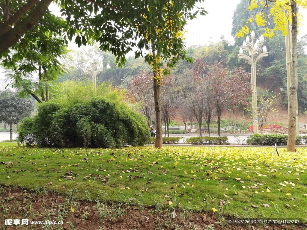 秋日公园静谧美景