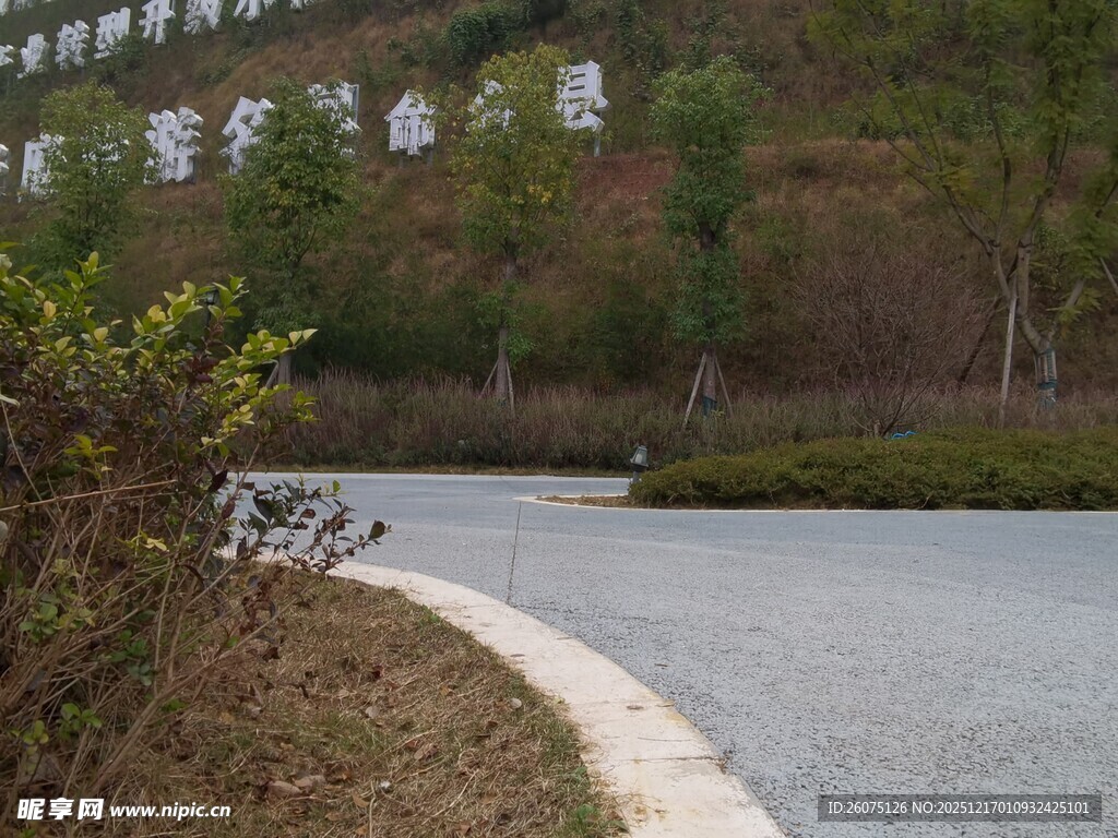 蜿蜒山间公路旁绿植相伴