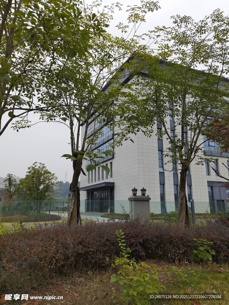 现代风格办公楼外景