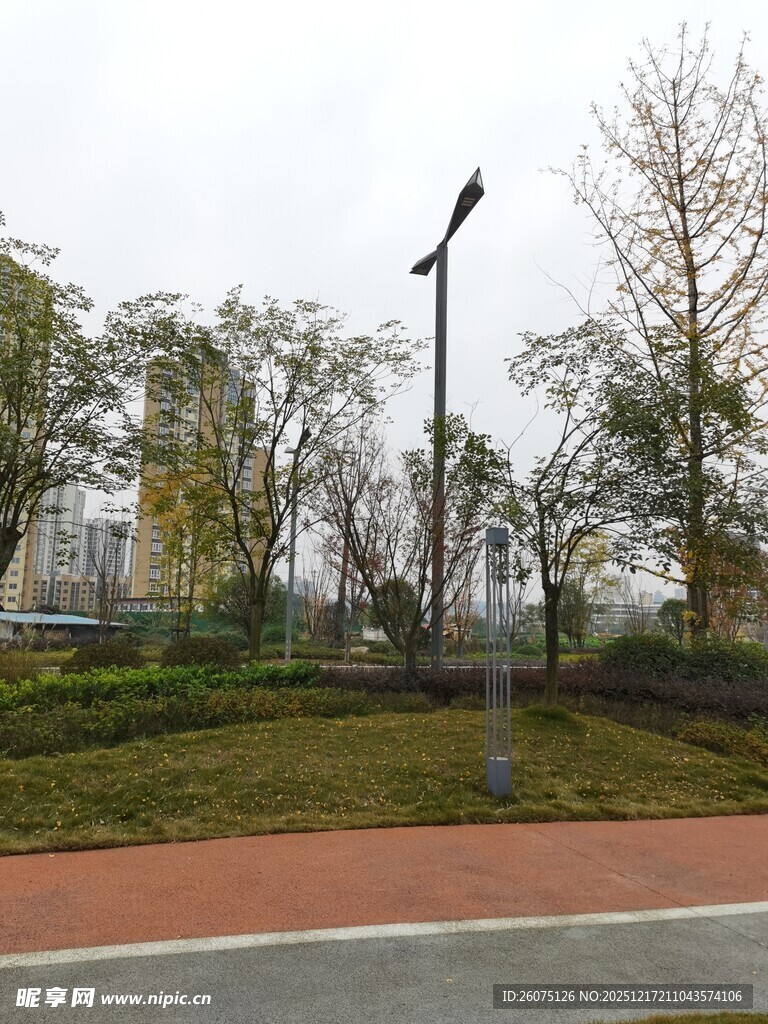 城市公园中的步道与路灯