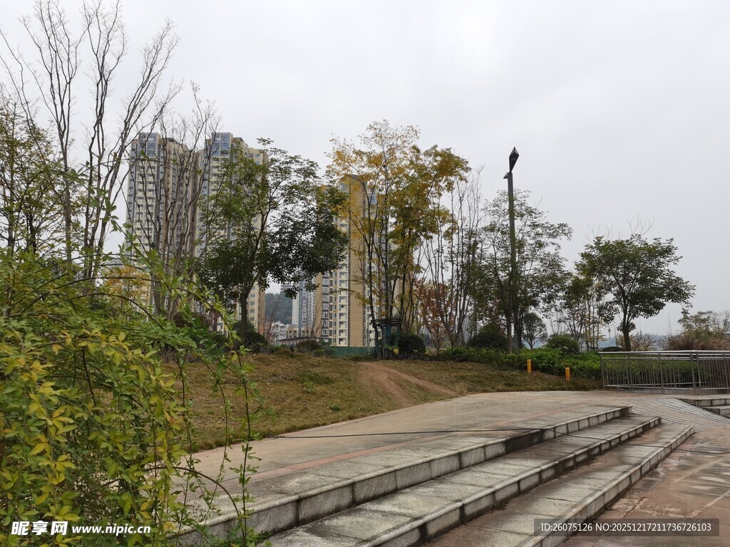 城市公园中的步道与绿植