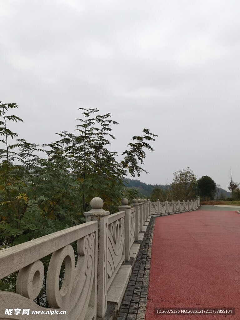 雨中红径旁的精致护栏