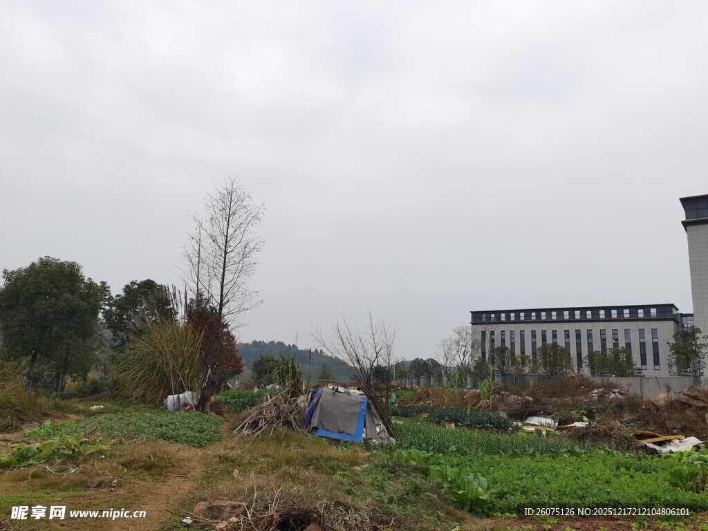 城郊荒地景象