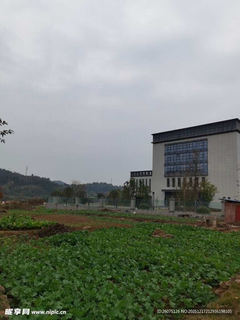 田野旁的现代建筑