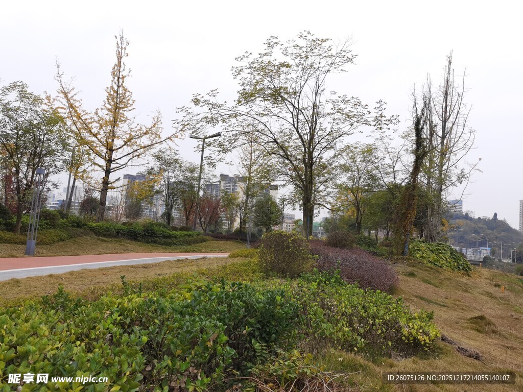 郊外绿意盎然的自然景致