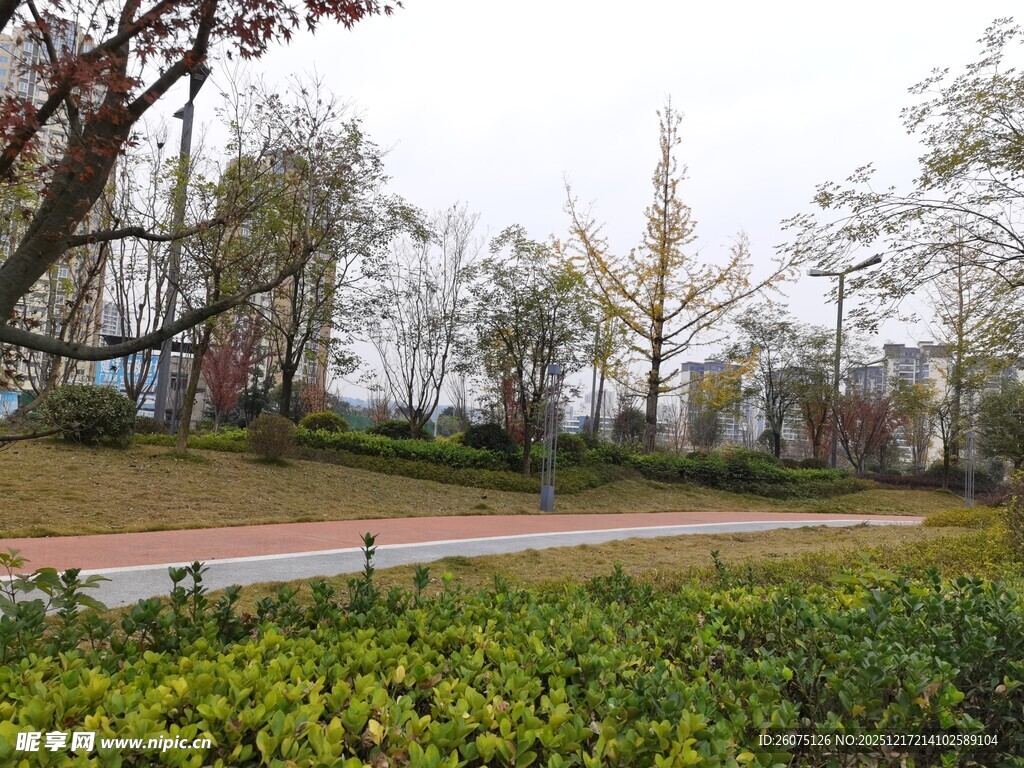 公园绿意盎然的景致