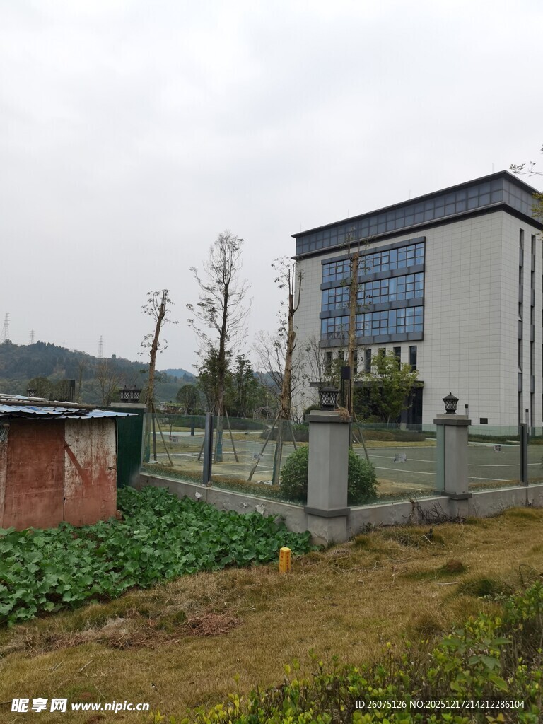 乡村旁的现代建筑景观