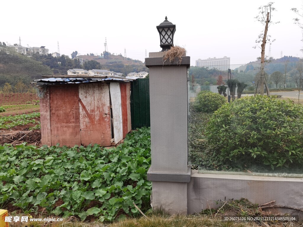 乡村角落的古朴景致