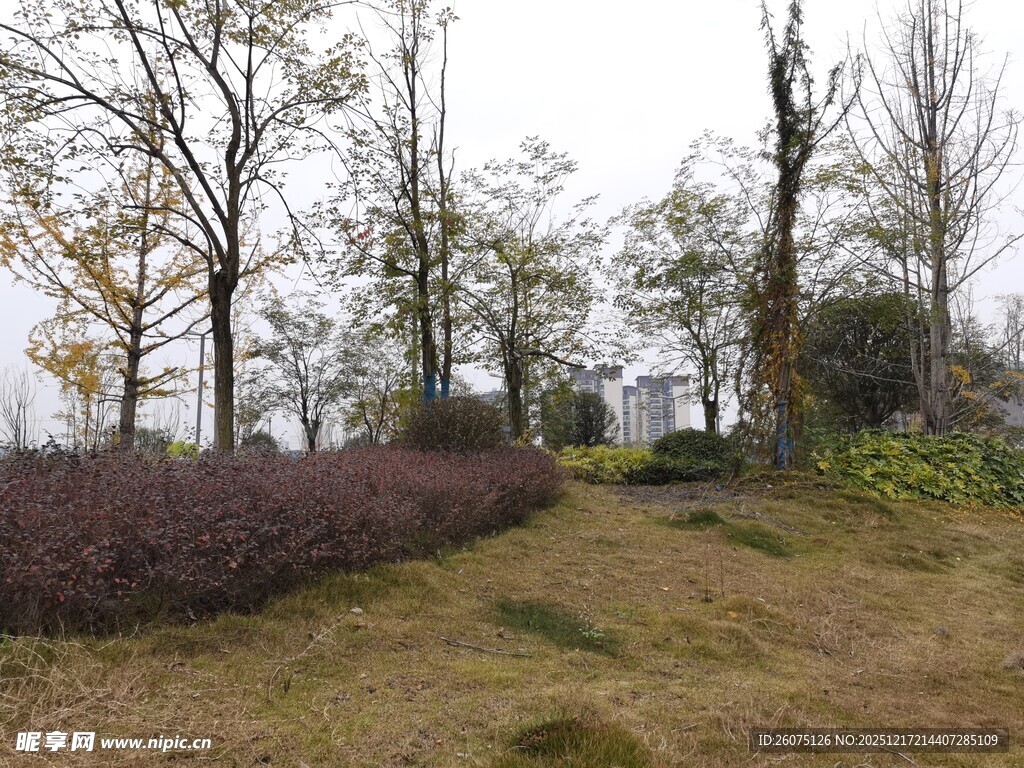 秋日郊野的静谧小路