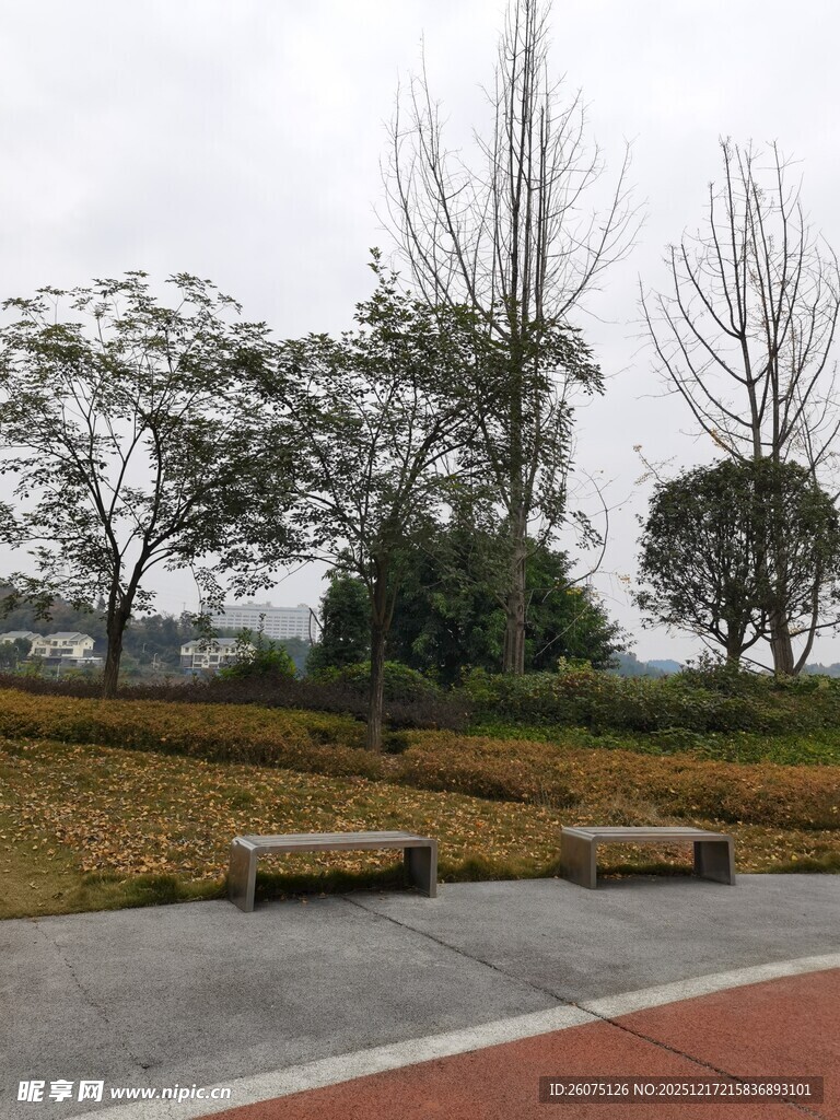 公园户外休闲长椅景观