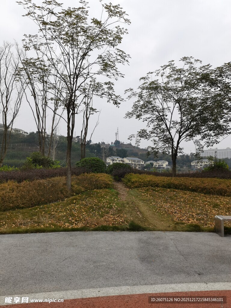 乡村路旁的冬日田野风光