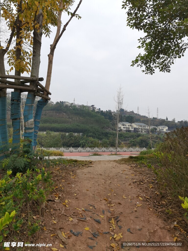 乡间小径自然静谧之景