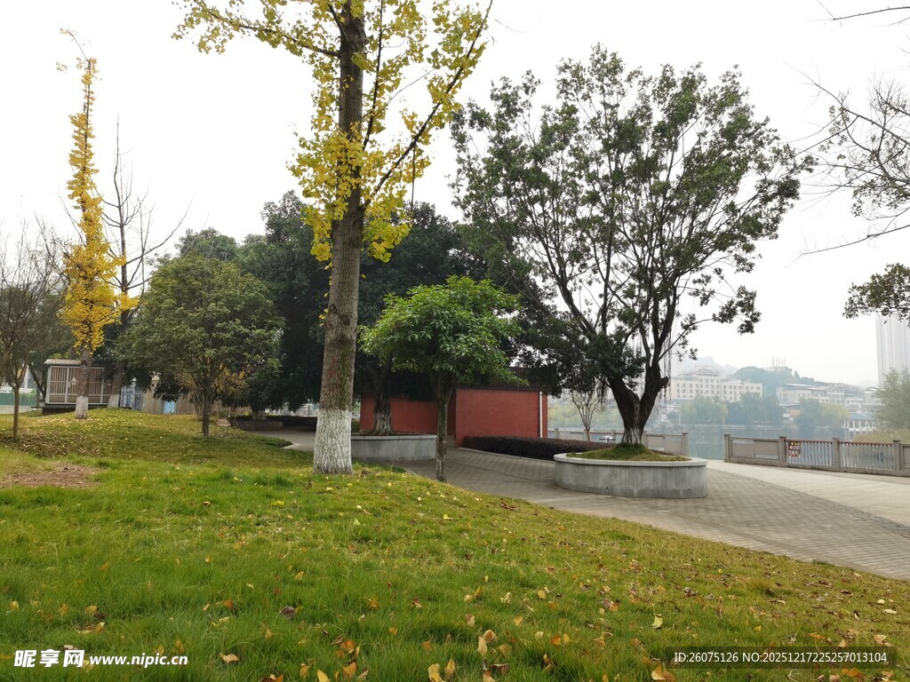 秋日公园景色一角