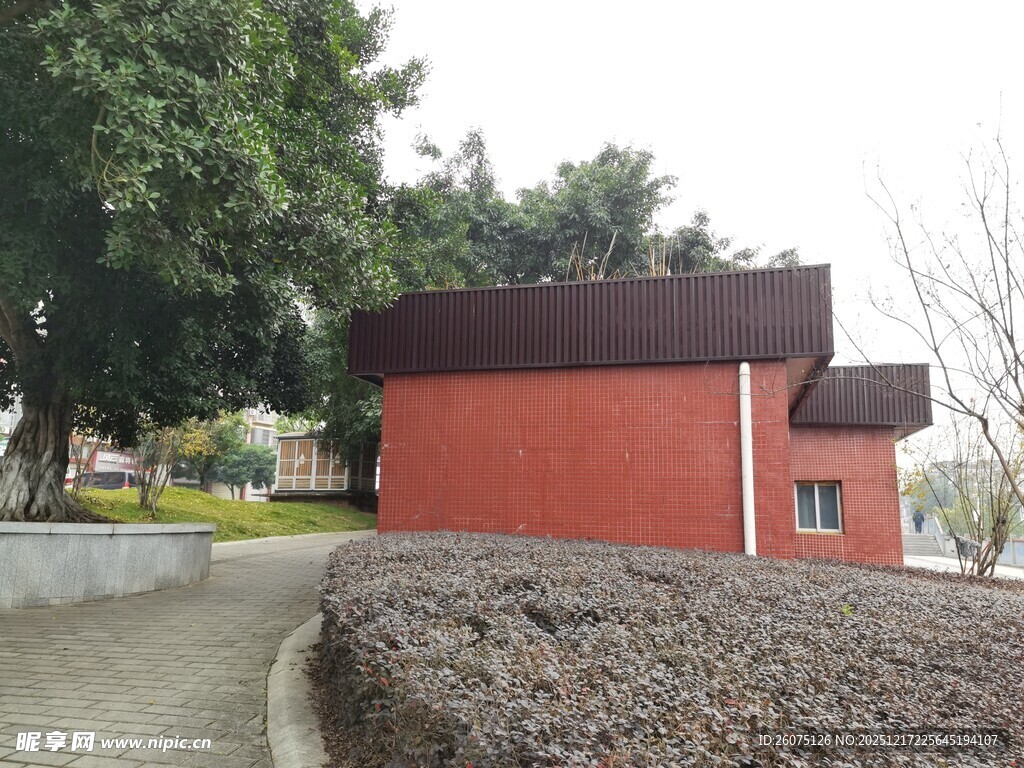 红墙小屋旁的绿植小径