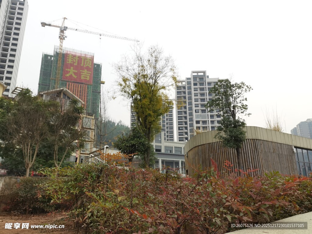 城市建设中的绿植景观