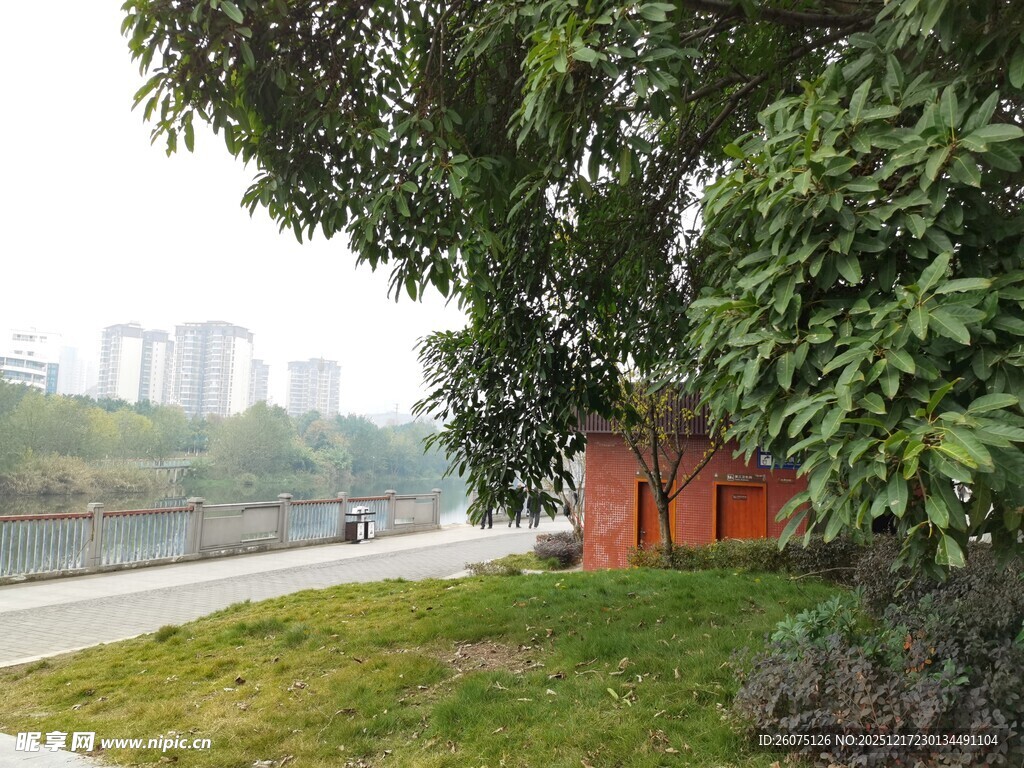 河畔绿树成荫的休闲场景