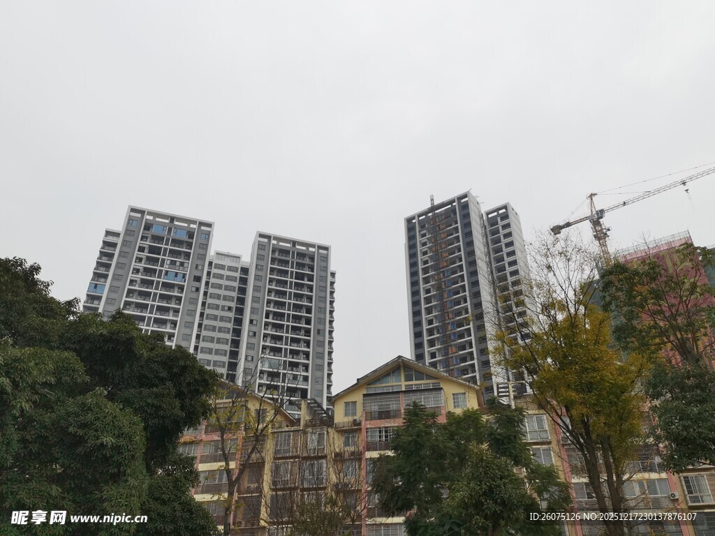 城市高楼与周边绿植景观