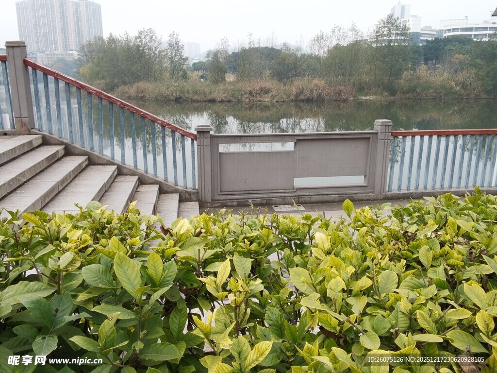 湖畔阶梯旁的绿植景观
