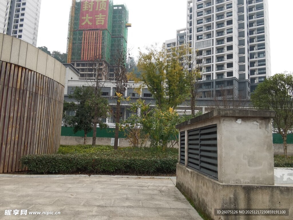 城市景观中的建筑与绿化