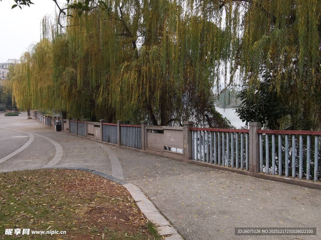 秋日河畔的宁静小路