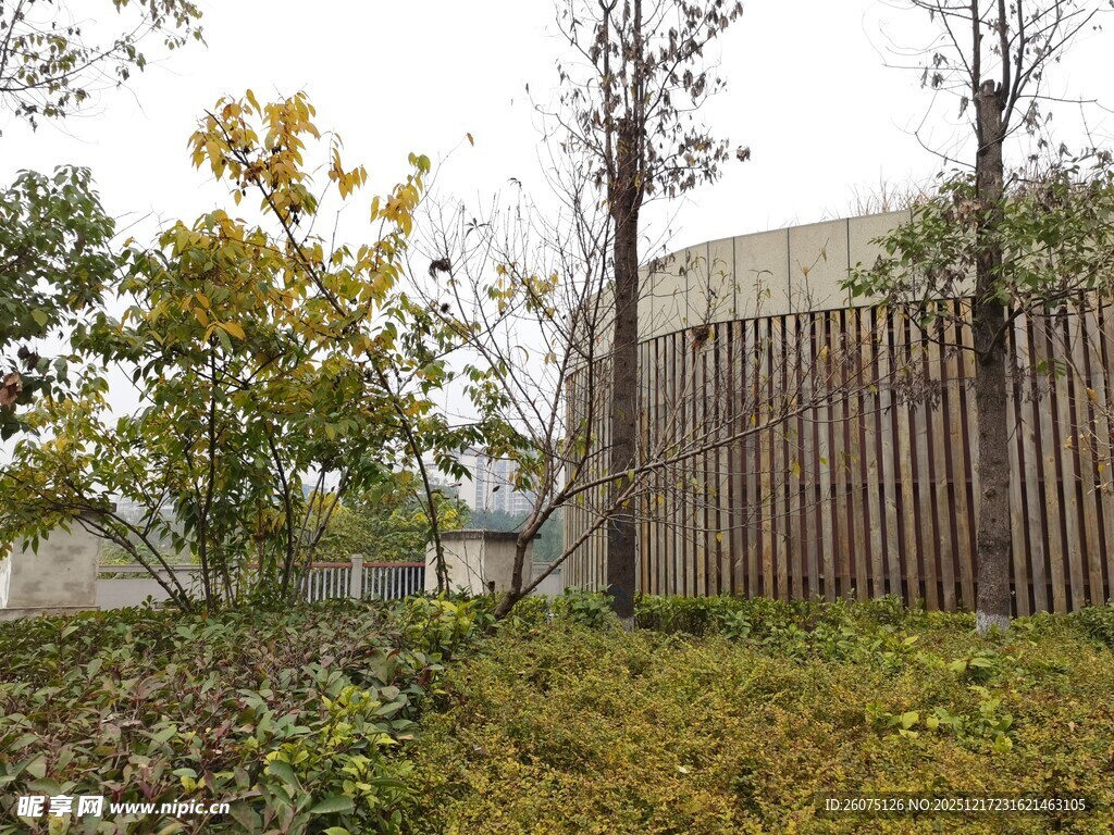 户外绿植与木质围栏景观