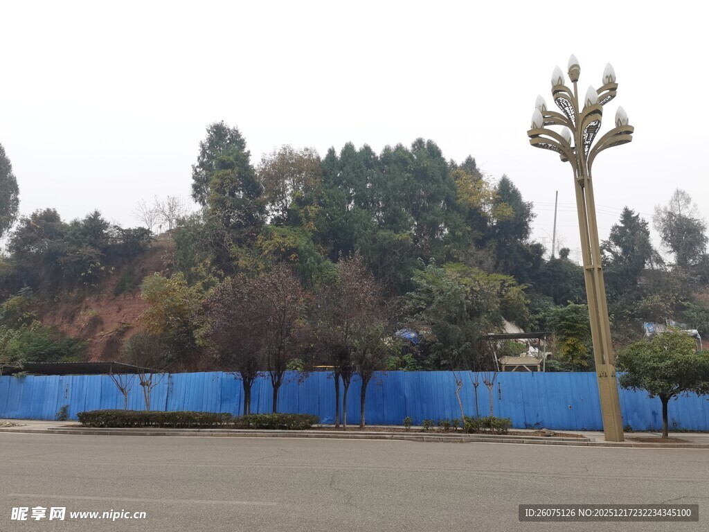 户外蓝墙旁的树木与灯柱