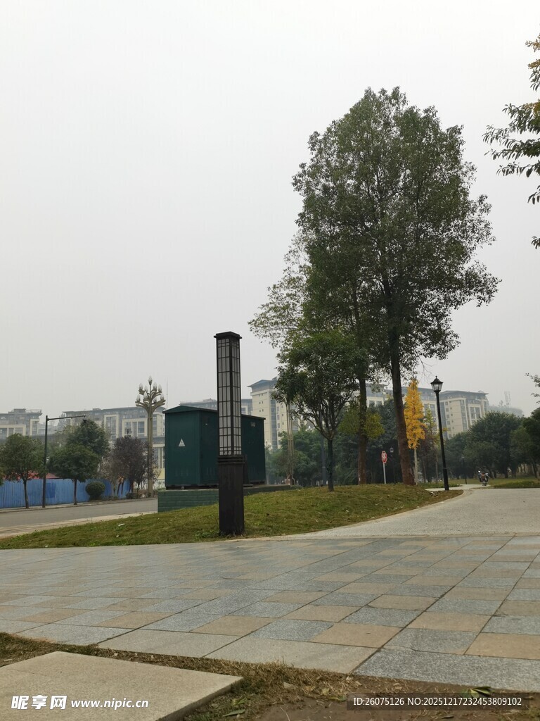 城市公园中的休闲步道景观