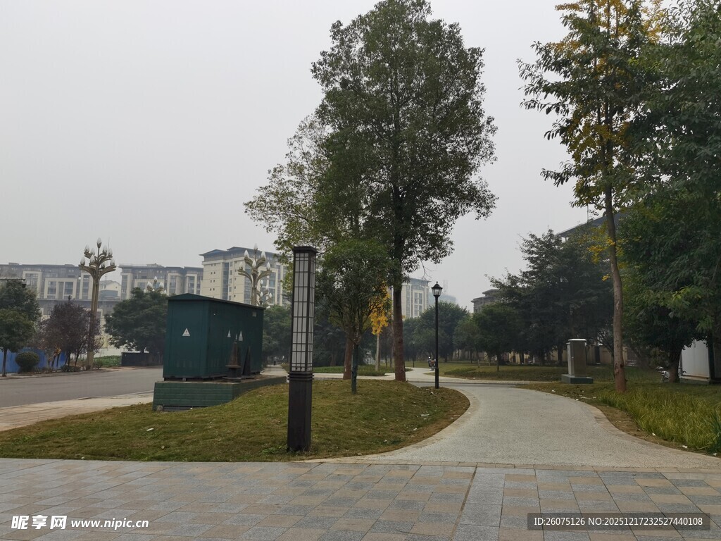 城市中静谧的林荫小道