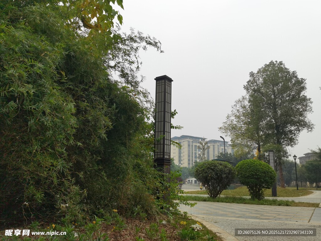 户外绿植与远处建筑景观