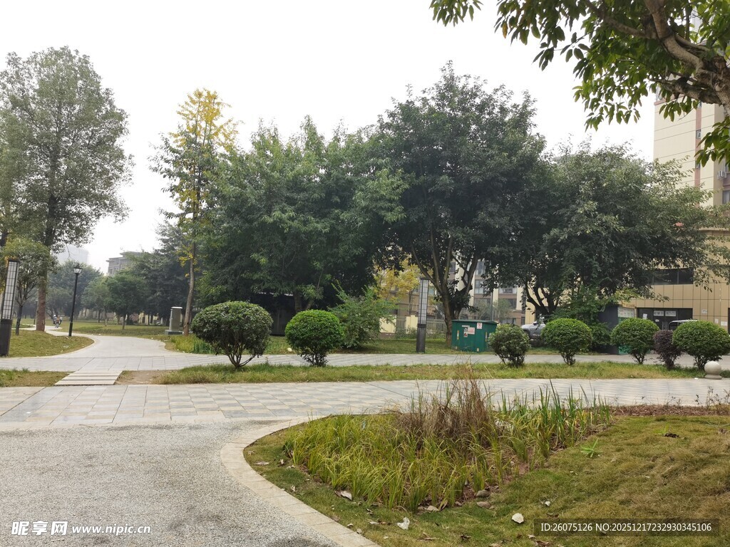 小区内的绿化道路景观