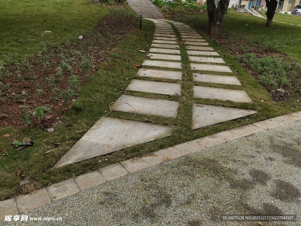 石板小径旁的葱郁草地