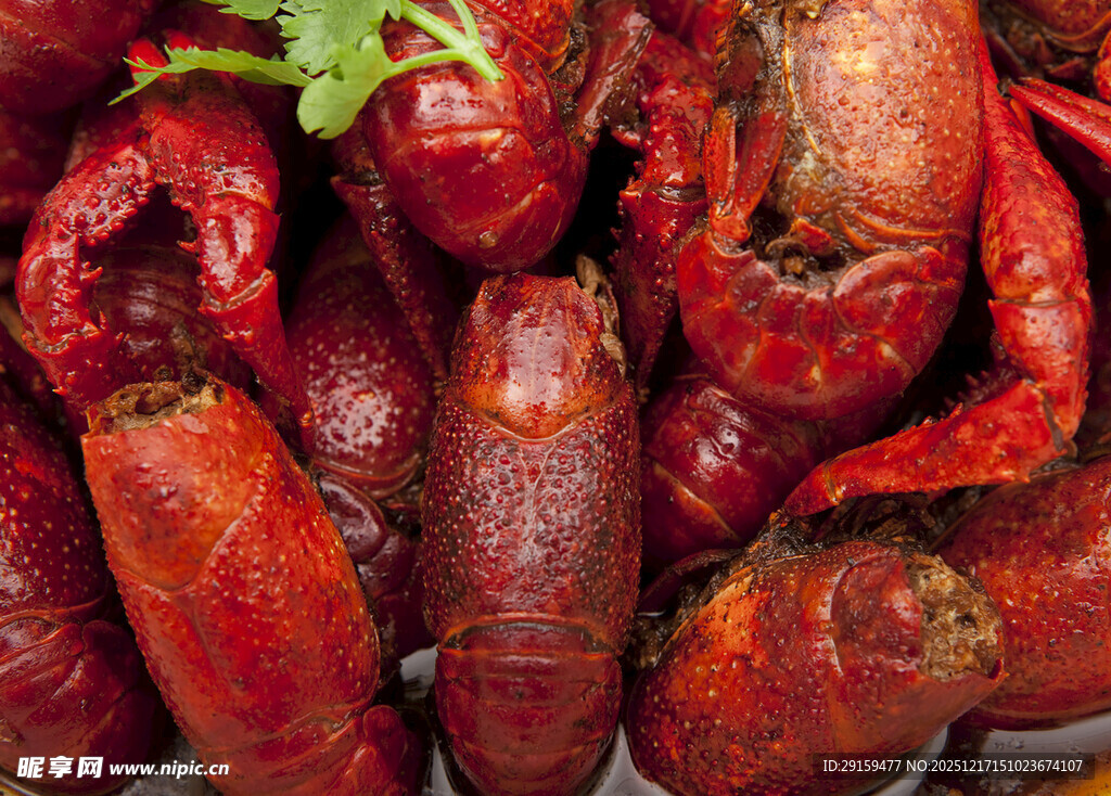 鲜活小龙虾色泽诱人