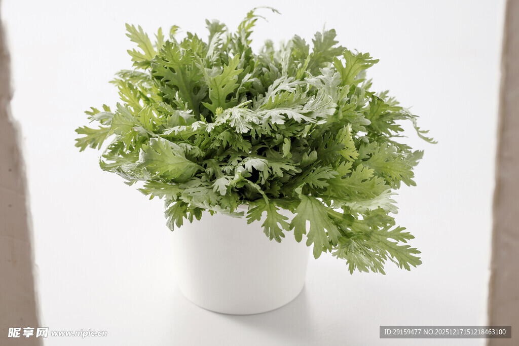 白色花盆中的翠绿仿真植物