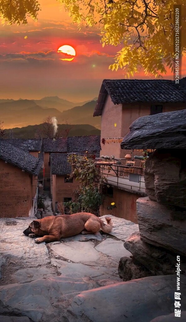 夕阳下的乡村静谧场景