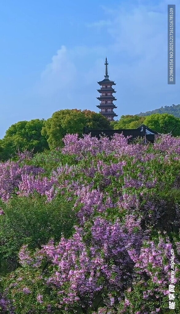 花海中的古朴宝塔