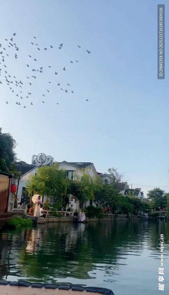 湖畔飞鸟与古建筑美景