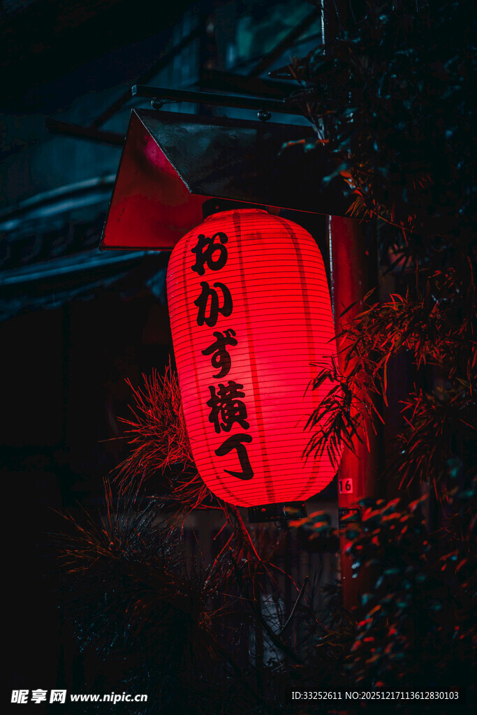 红灯笼映照夜色