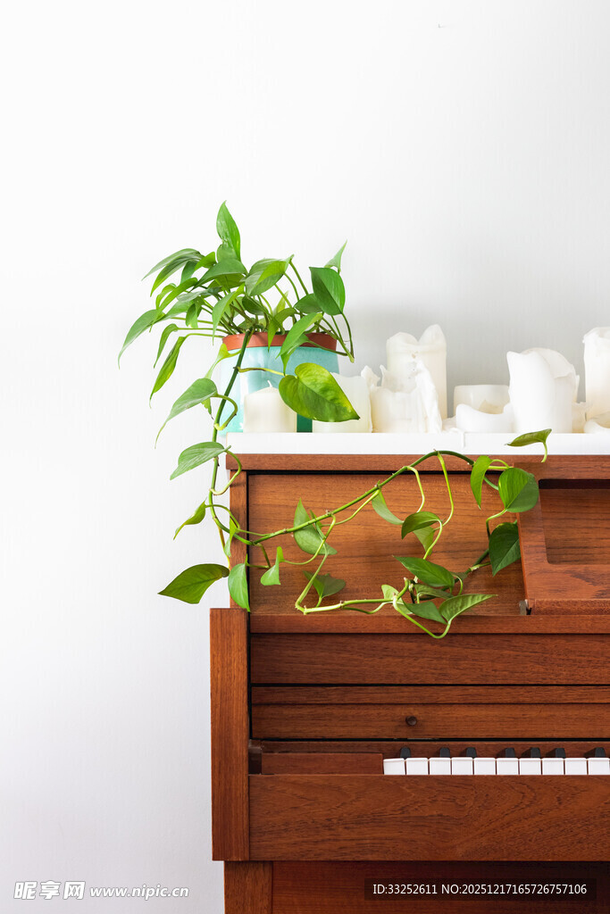 绿植装点的复古木质钢琴