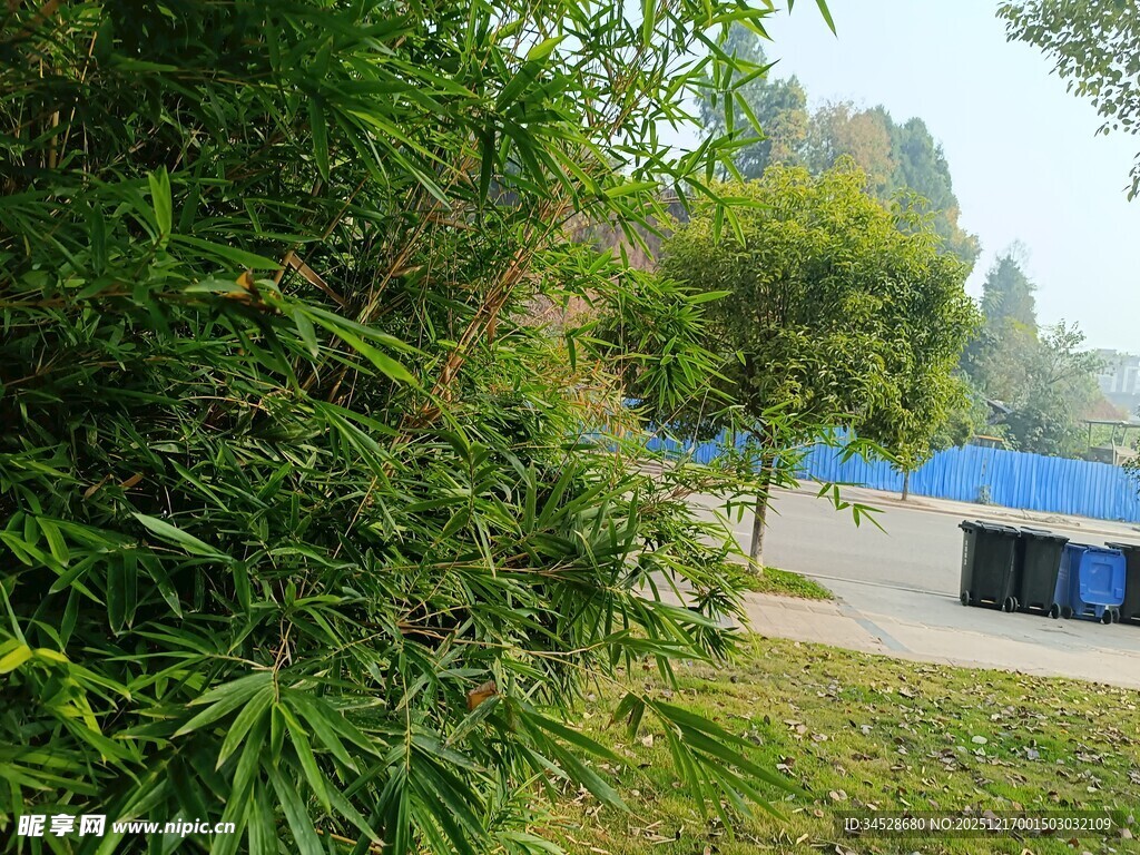 绿意盎然的园林景致角落