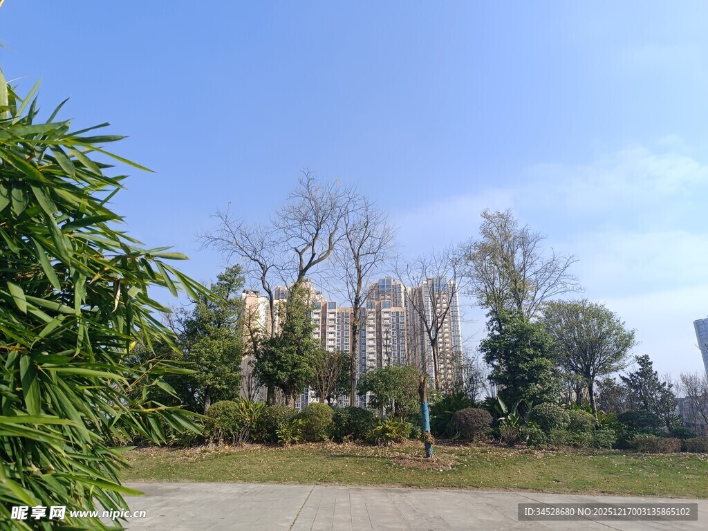 城市公园绿植景观