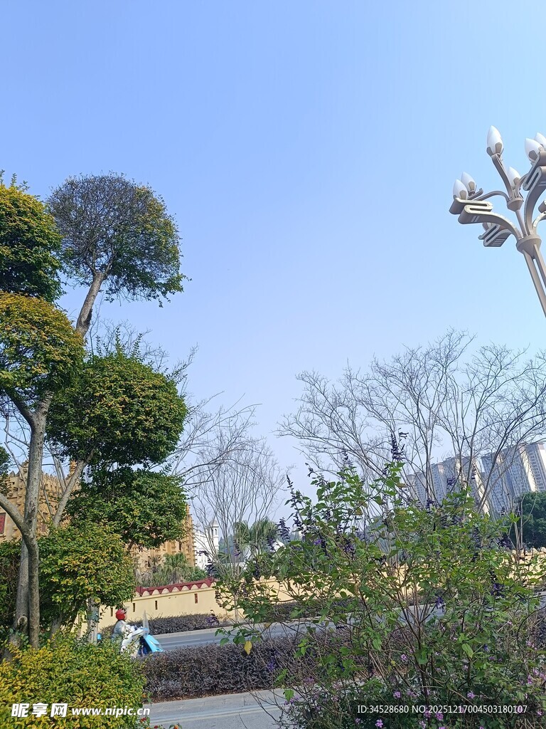 城市公园绿植景观