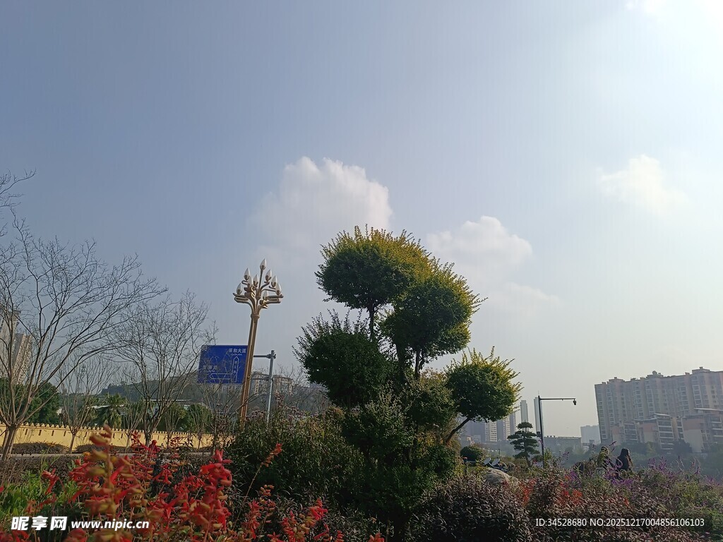 城市中多彩植物景观