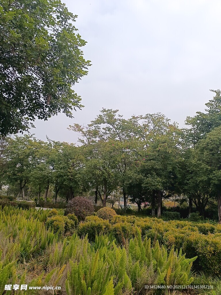 绿意盎然的户外园林景观