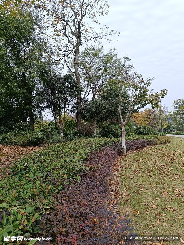 秋日公园绿植景观