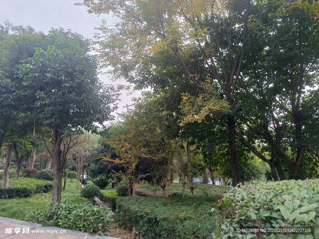 公园绿意盎然的林间小道