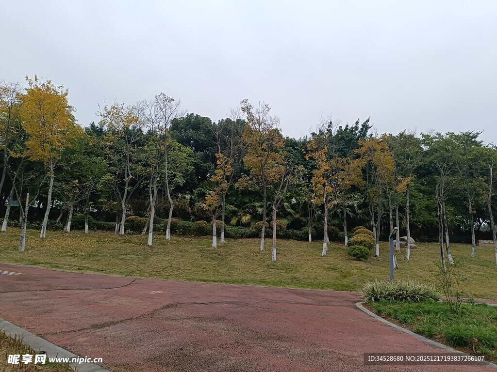 秋日公园的宁静小路