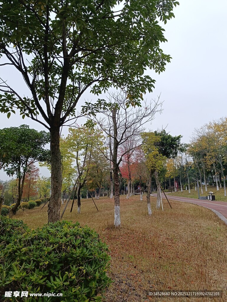 秋日公园静谧景致