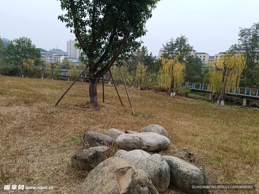 户外草地旁的树与堆叠石块