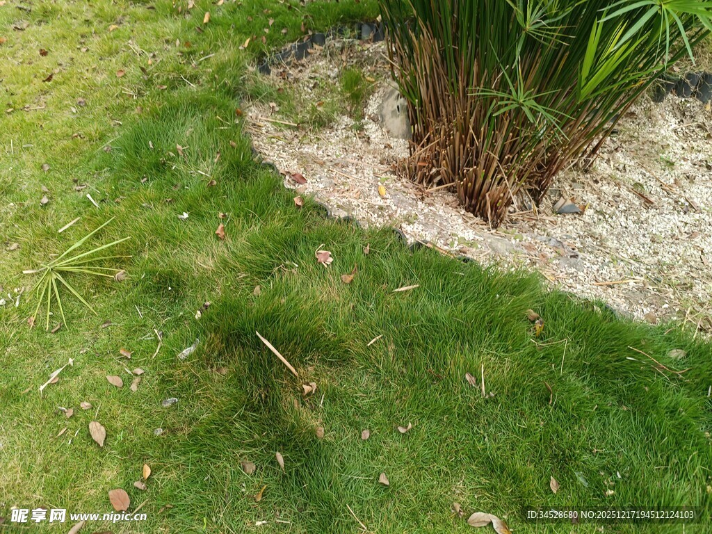 草坪边的碎石与绿植