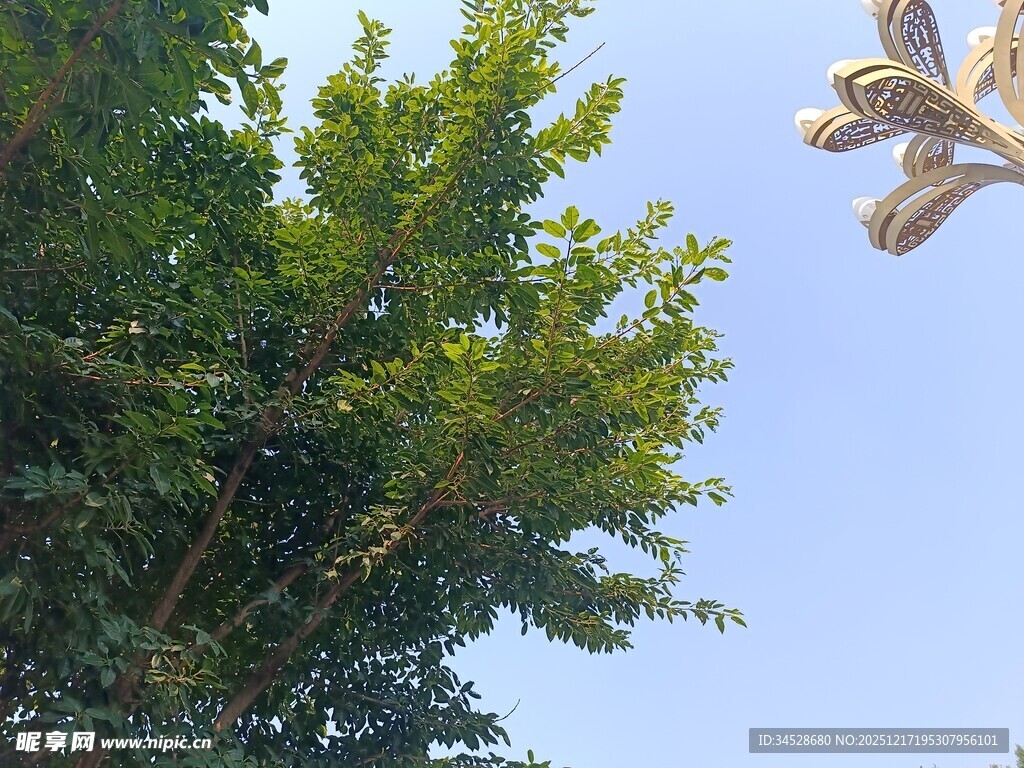 蓝天绿树间的雕塑一角